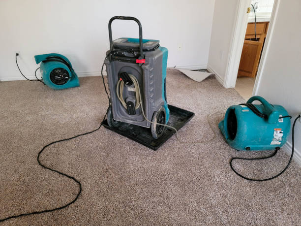 Best Water damage restoration near me  in Bloomingdale, TN