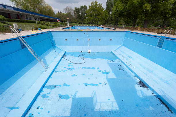 Best Flood restoration services  in Bloomingdale, TN