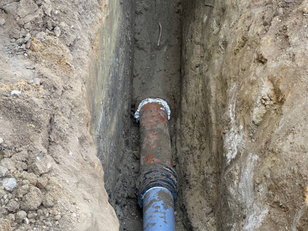  Bloomingdale, TN Water damage restoration Pros
