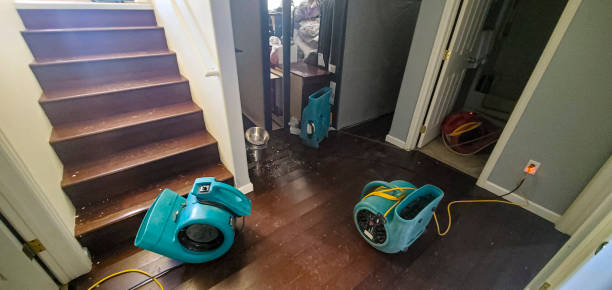 Best Carpet water damage restoration  in Bloomingdale, TN