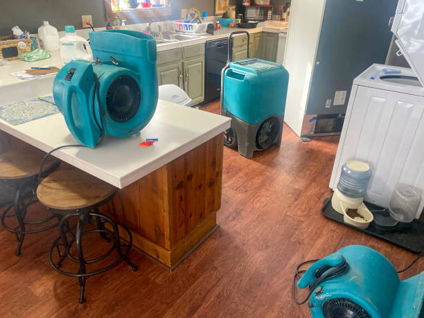 Best Mold removal after water damage  in Bloomingdale, TN