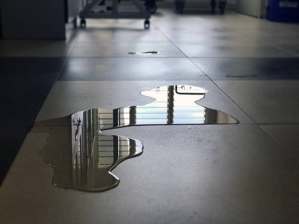 Best 24/7 water damage repair  in Bloomingdale, TN