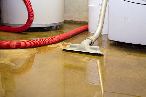 Best 24-hour water damage restoration  in Bloomingdale, TN