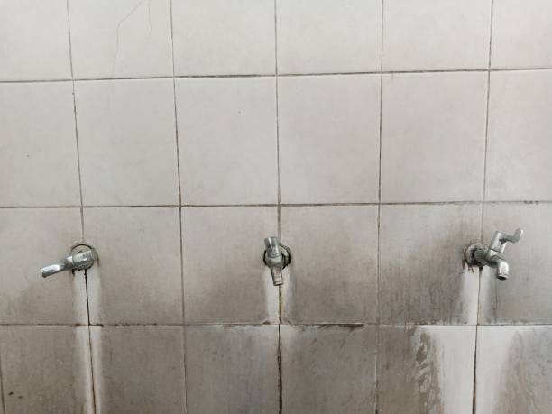 Best Water damage restoration near me  in Bloomingdale, TN