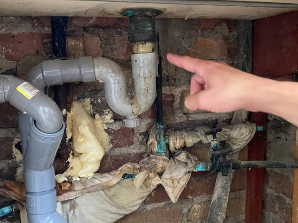 Best Water damage restoration insurance claims  in Bloomingdale, TN