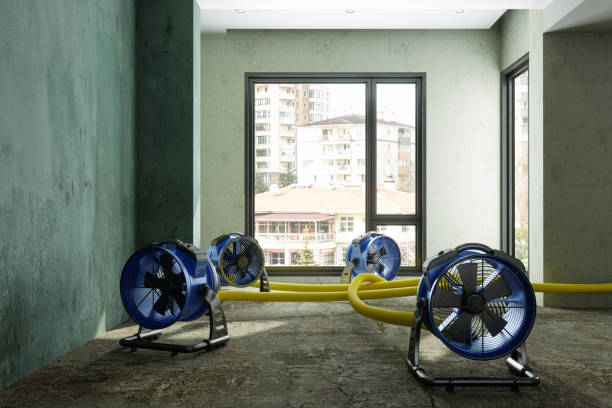 Best Water damage restoration services  in Bloomingdale, TN