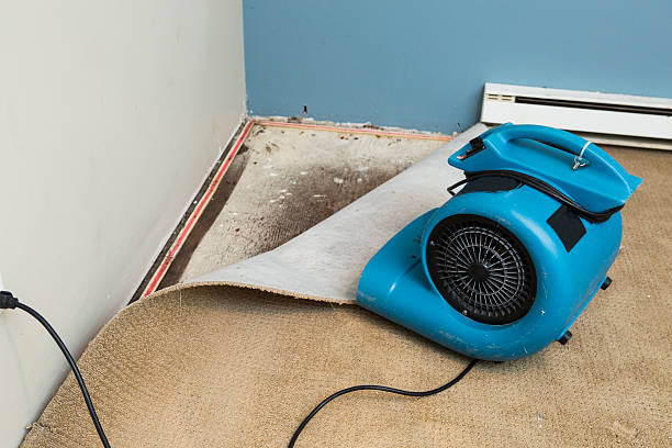 Sewage cleanup and water damage restoration in TN